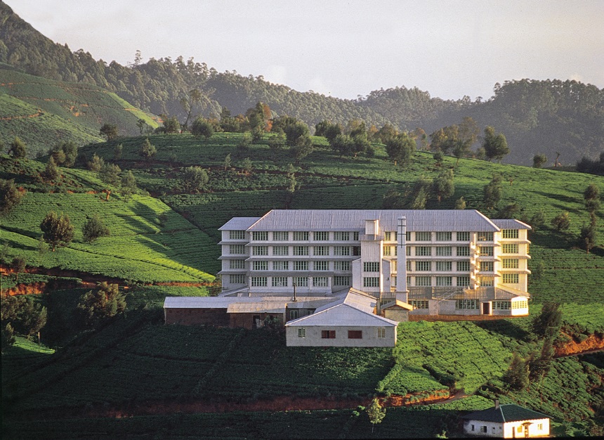 best tea plantation tour sri lanka